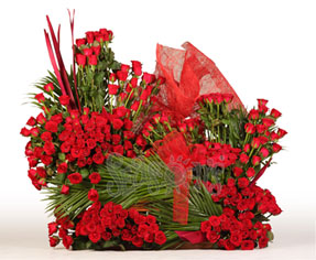 200 red roses 