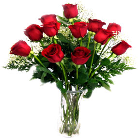 12 Roses in a Vase